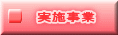 実施事業